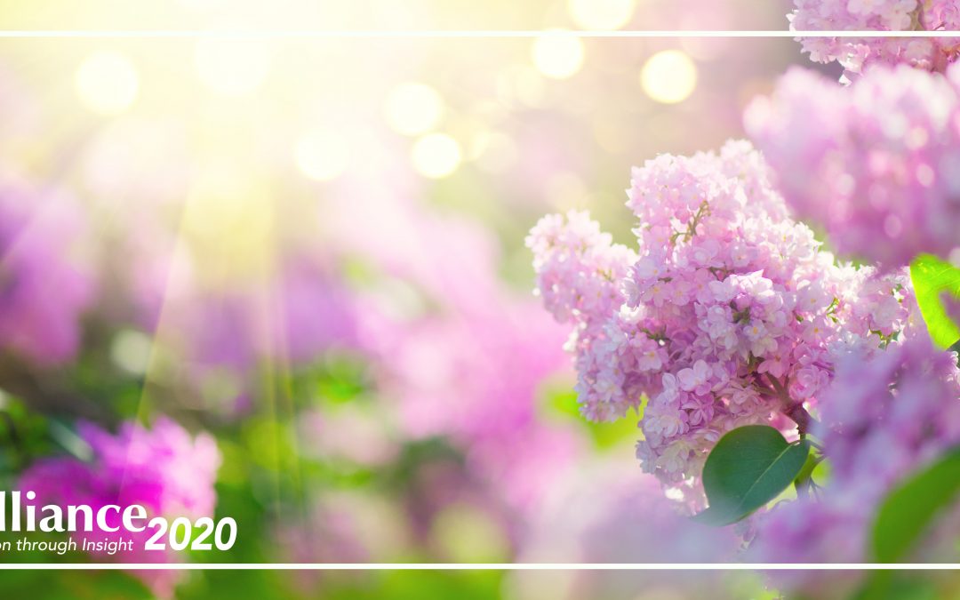 March 2020 Newsletter