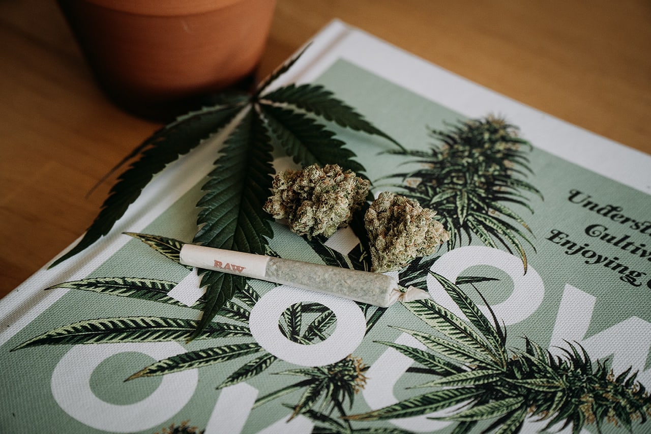 cannabis screening
