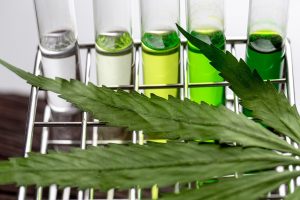 Cannabis Lab testing and Cannabis Detection