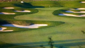 golf industry greens